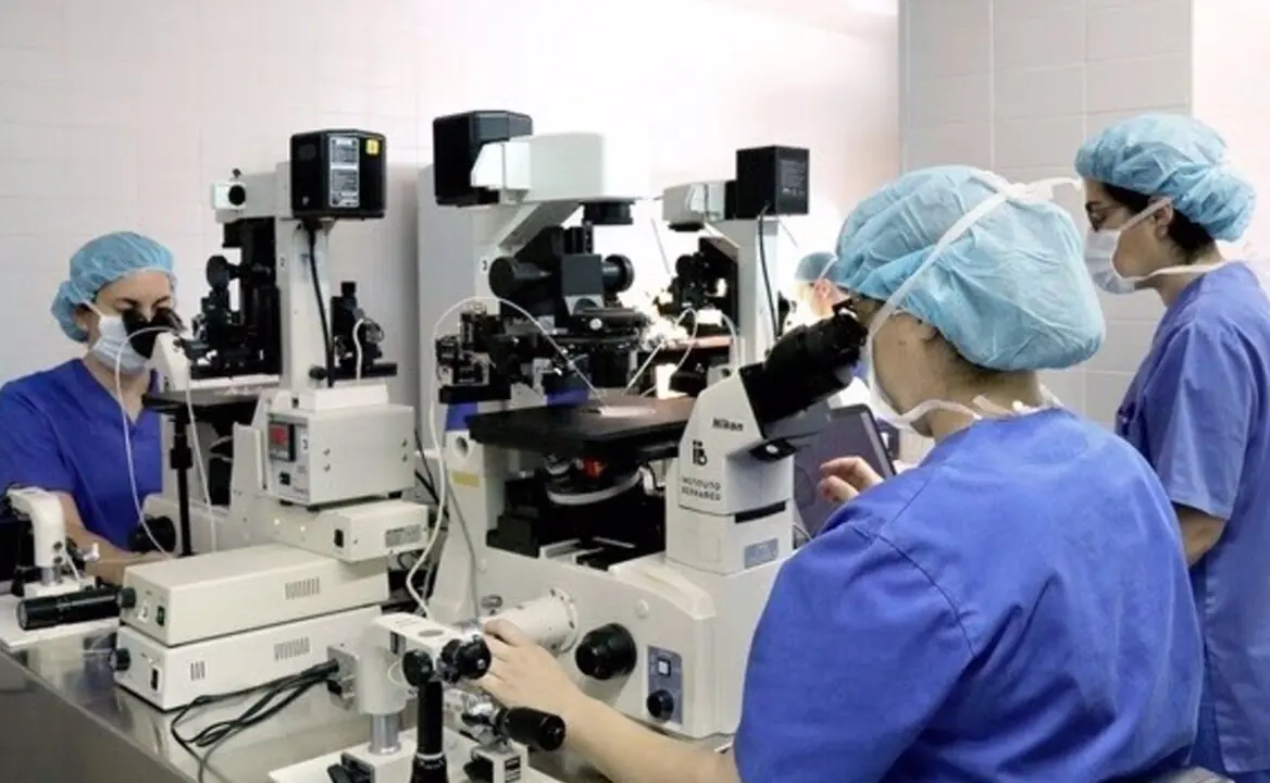  Profesionales trabajando en Instituto Bernabeu Biotech. - INSTITUTO BERNABEU 