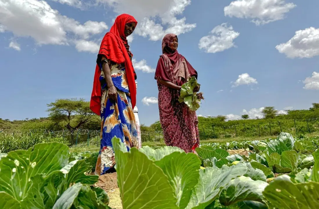  Nadira 43, Maryam 38 from Ceel Ganiiseed, Gabiley District Ceel Ganiiseed, Gabiley DistrictProject InformationIn response to the protracted humanitarian crisis, the Somali joint Response (SOMJR ) - AHMED OSMAN 