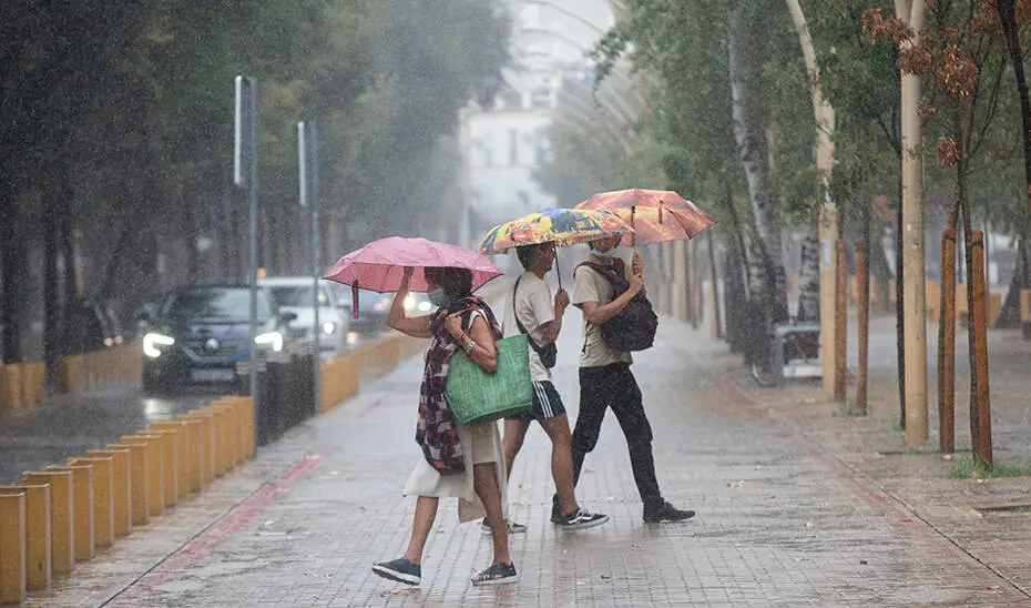  Varias personas caminan bajo sus paraguas durante una tormenta. A 14 de septiembre de 2021, en Sevilla (Andaluc&iacute;a, Espa&ntilde;a).<br>Mar&iacute;a Jos&eacute; L&oacute;pez / Europa Press<br>14/9/2021 