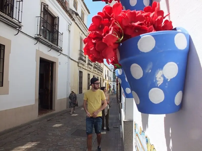  Flores de pl&aacute;stico para confundir al turista en el Casco Hist&oacute;rico 