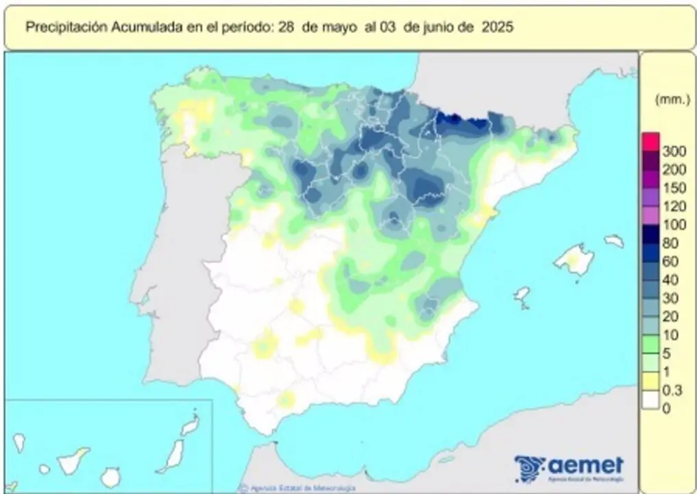  Las lluvias acumuladas en este a&ntilde;o hidrol&oacute;gico ascienden a 608 l/m2, un 16% m&aacute;s que el valor normal. - AEMET 