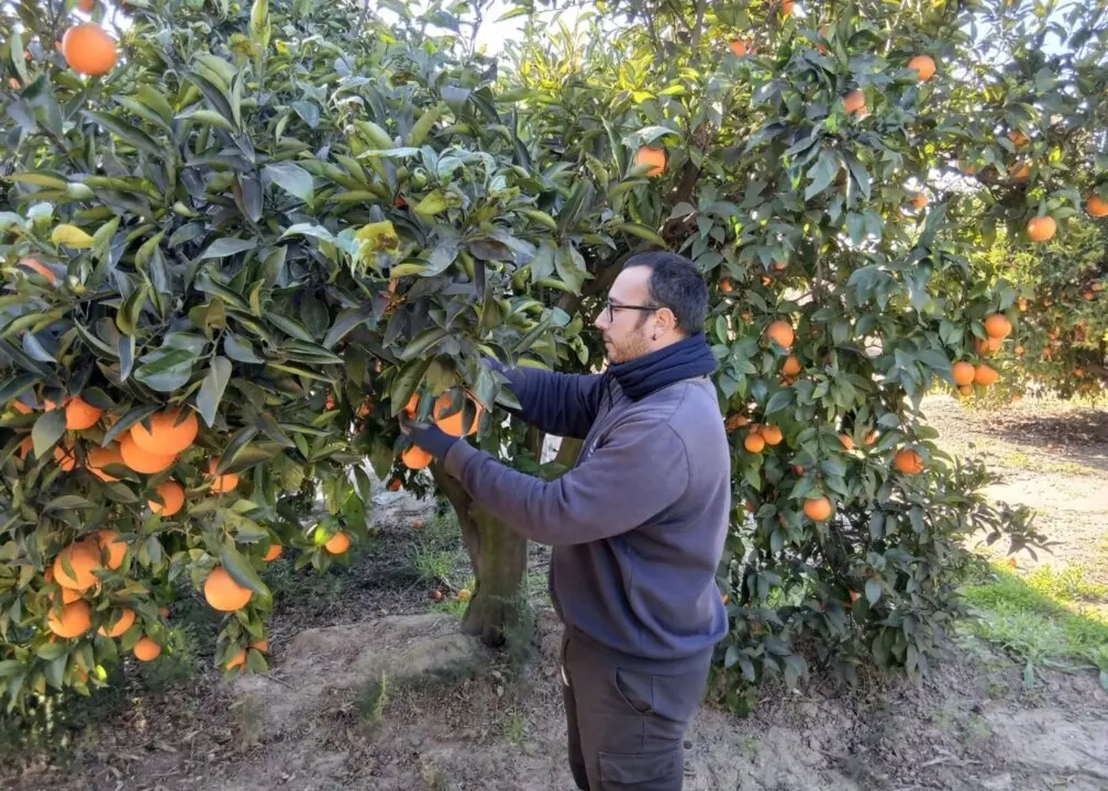  Archivo - Joven agricultor - LA UNI&Oacute; - Archivo 