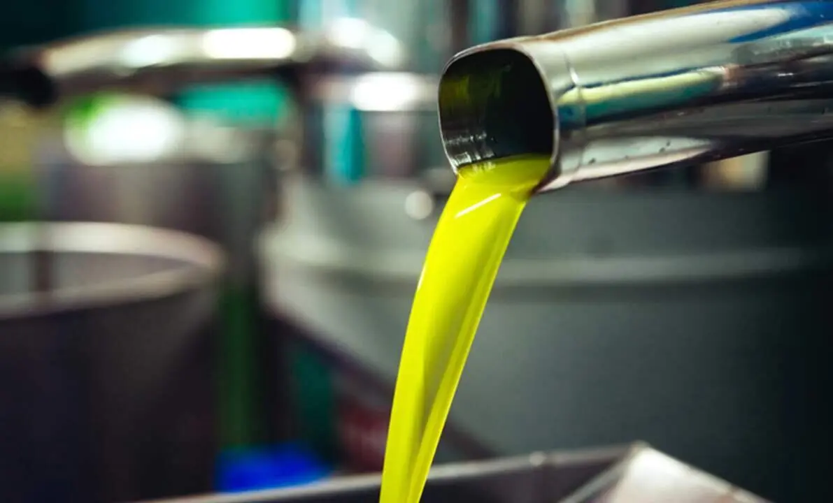  Producci&oacute;n de aceite virgen extra en una almazara andaluza | EP 