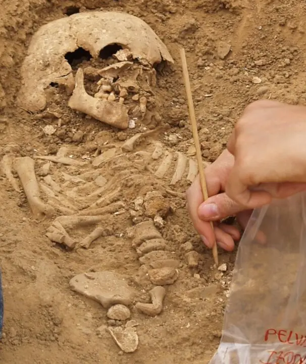  Excavaci&oacute;n de los restos &oacute;seos humanos en el cementerio de Marialba de la Ribera (Le&oacute;n).<br>- UNIVERSIDAD AUT&Oacute;NOMA DE MADRID 