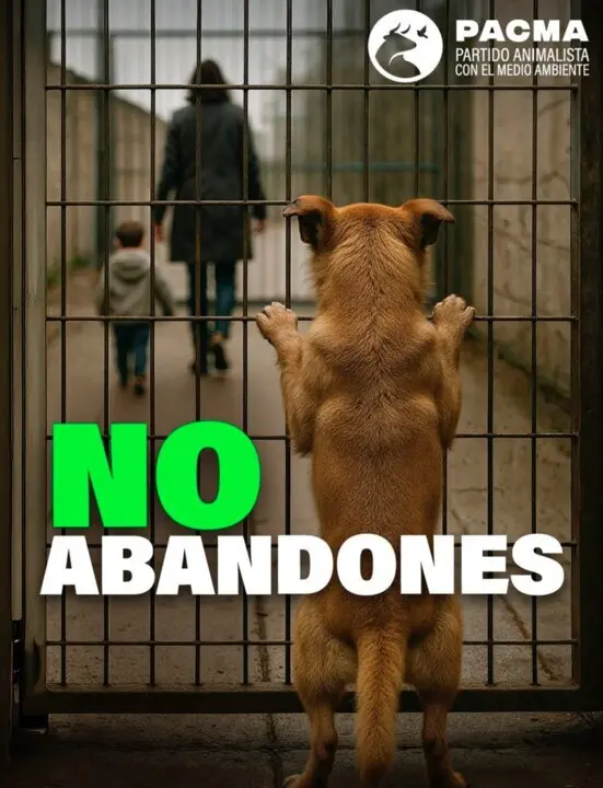  PACMA lanza la campa&ntilde;a 'No me abandones' para combatir el abandono de animales en verano.<br>- PACMA 