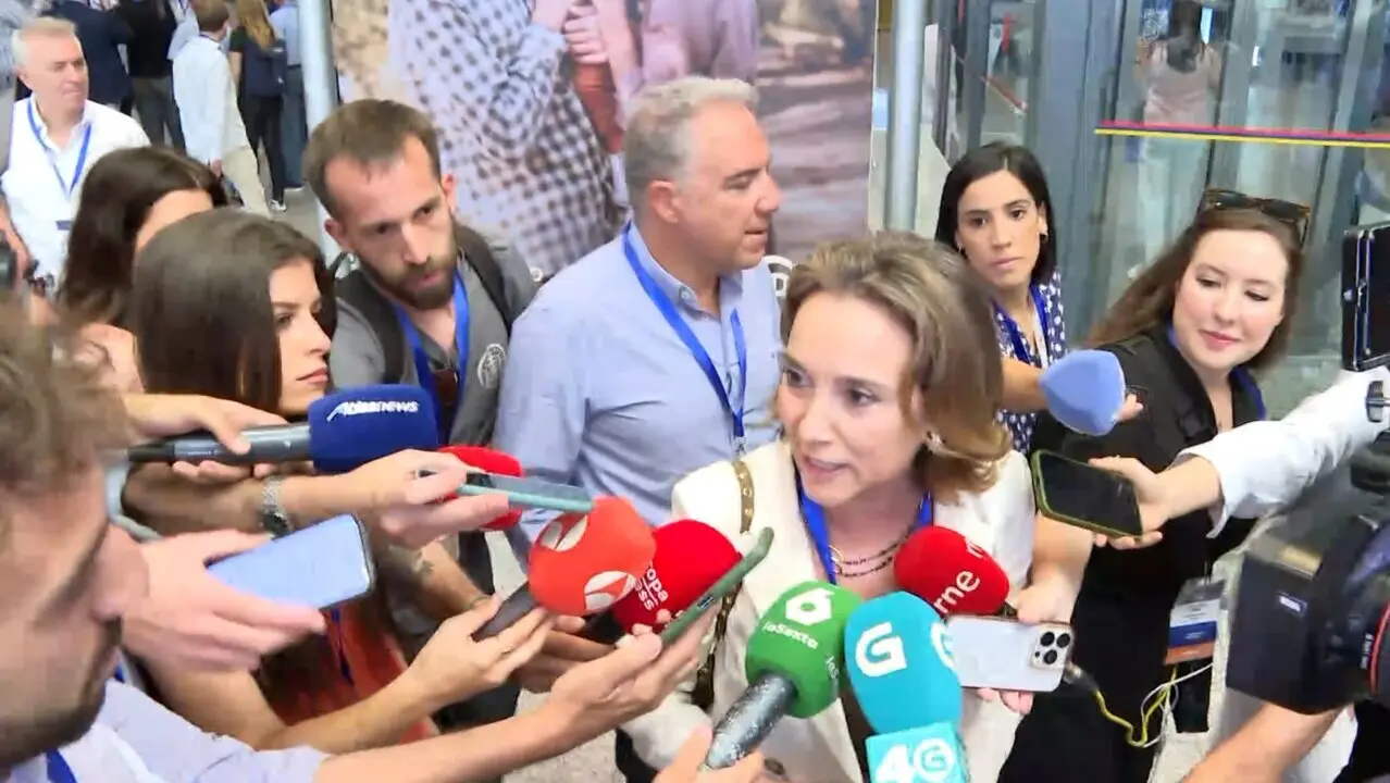  Gamarra, sobre la renuncia de Salazar: "La corrupci&oacute;n est&aacute; en el PSOE y duerme y<br>- EuropaPress.TV (Europa Press) 