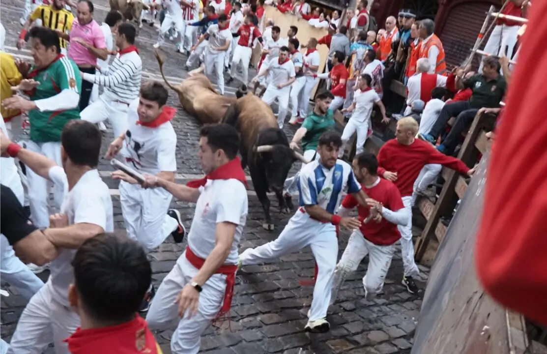  Encierro protagonizado por los toros de &Aacute;lvaro N&uacute;&ntilde;ez<br>- EDUARDO SANZ - EUROPA PRESS 
