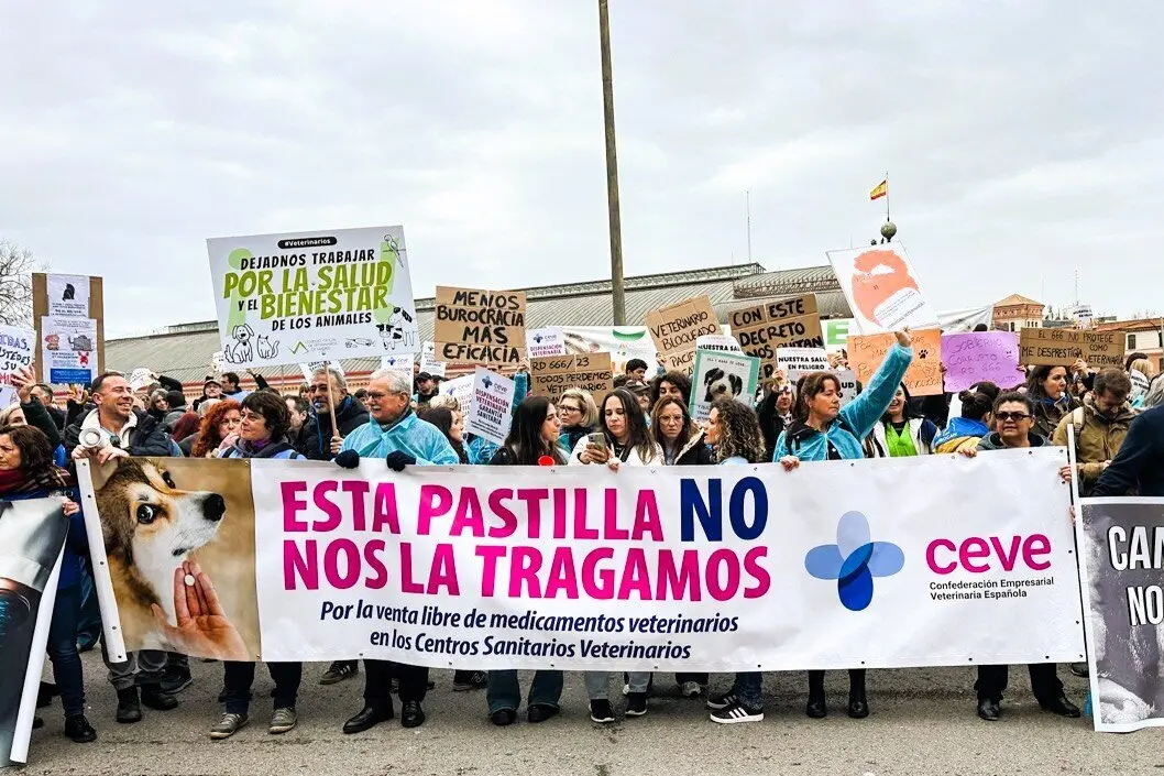  CEVE considera "insuficiente" la enmienda aprobada sobre el RD 666/2025 y reclama que los veterinarios puedan dispensar medicamentos 