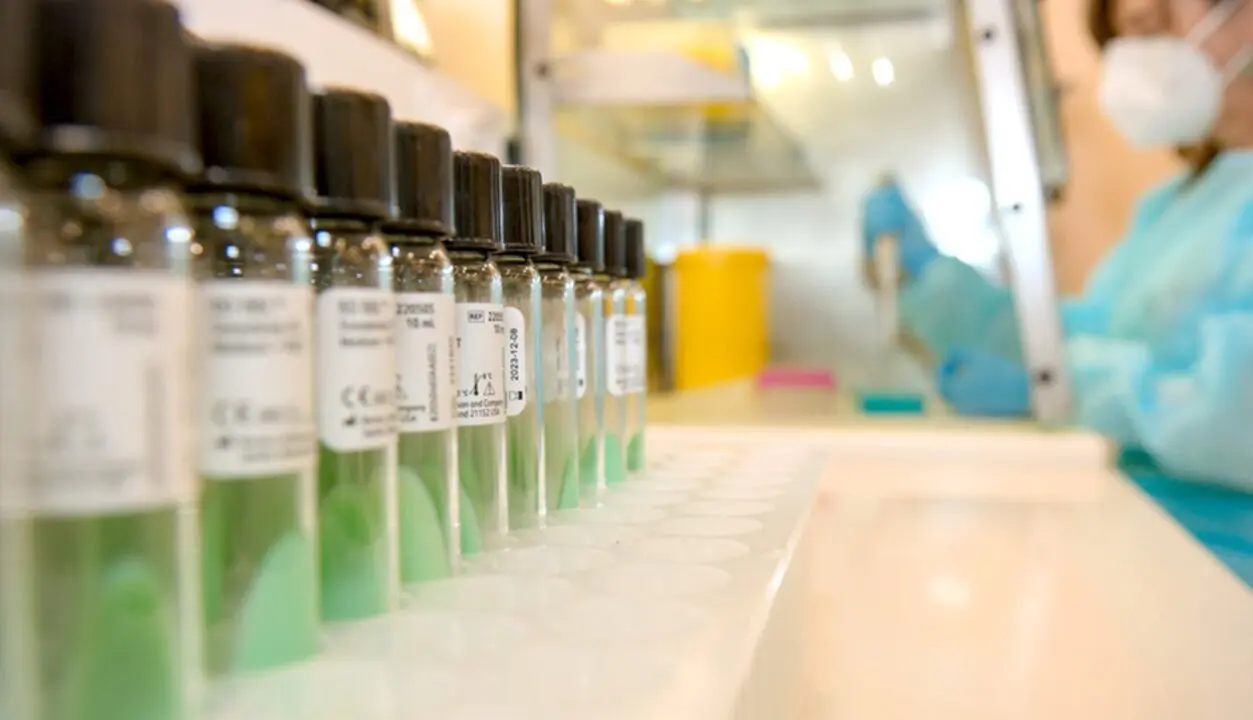  Dosis de vacunas de la triple v&iacute;rica. 