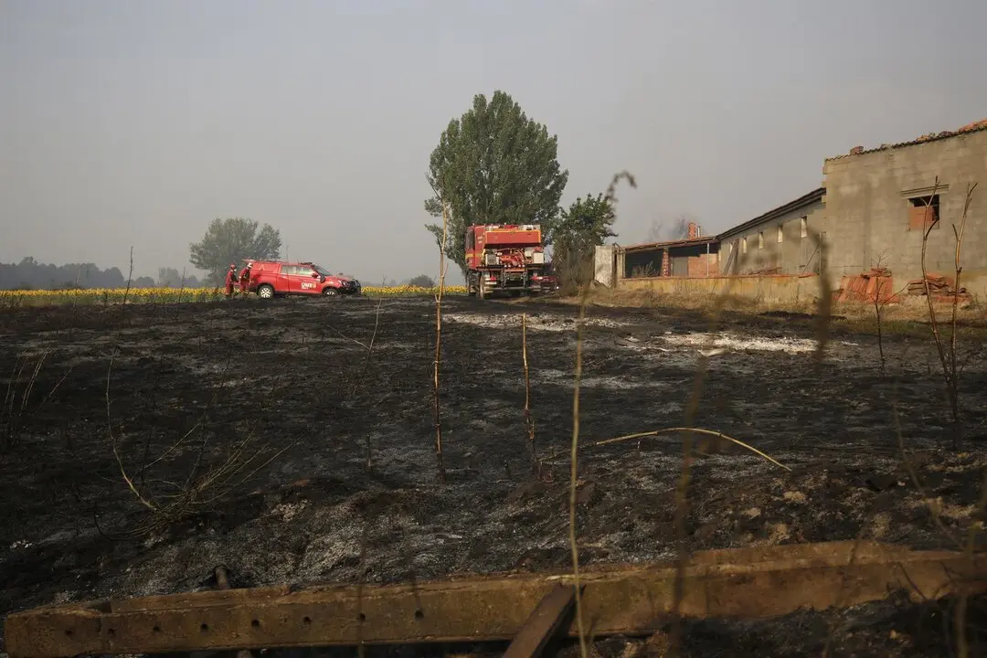  fotonoticia_20250815104506_1920 