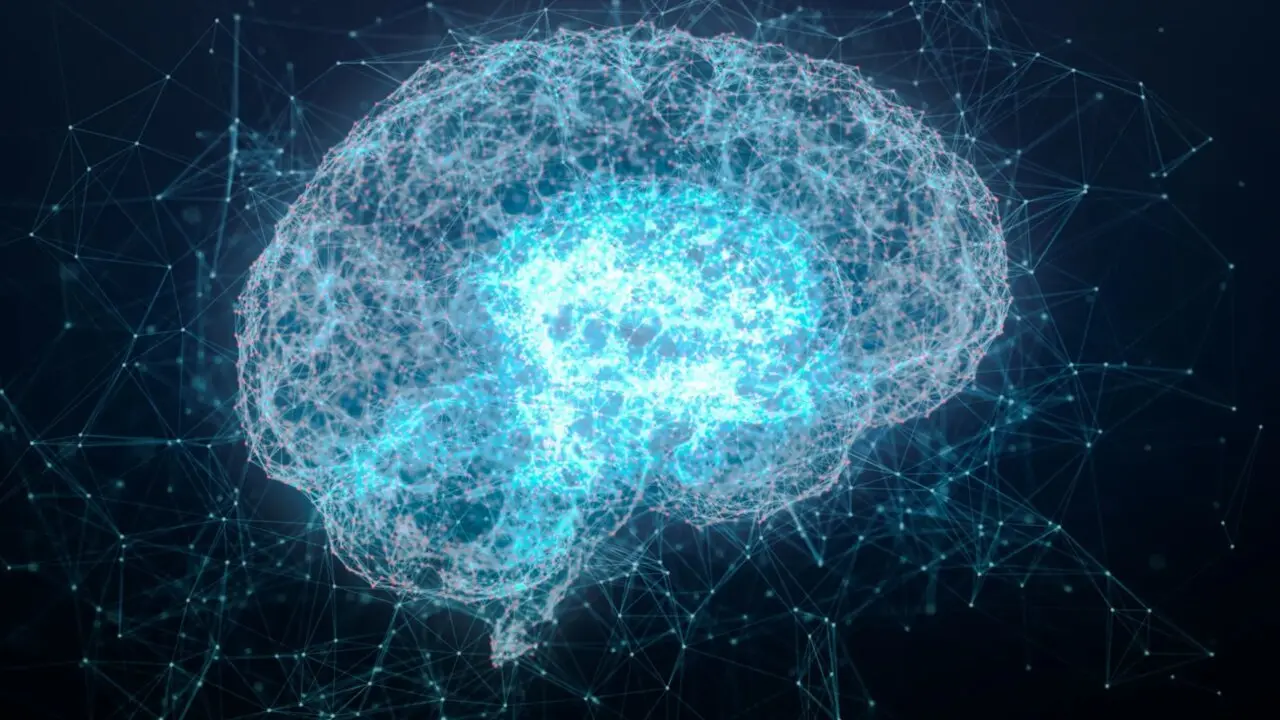  Cient&iacute;ficos espa&ntilde;oles desarrollan el primer atlas cerebral de trastornos mentales 