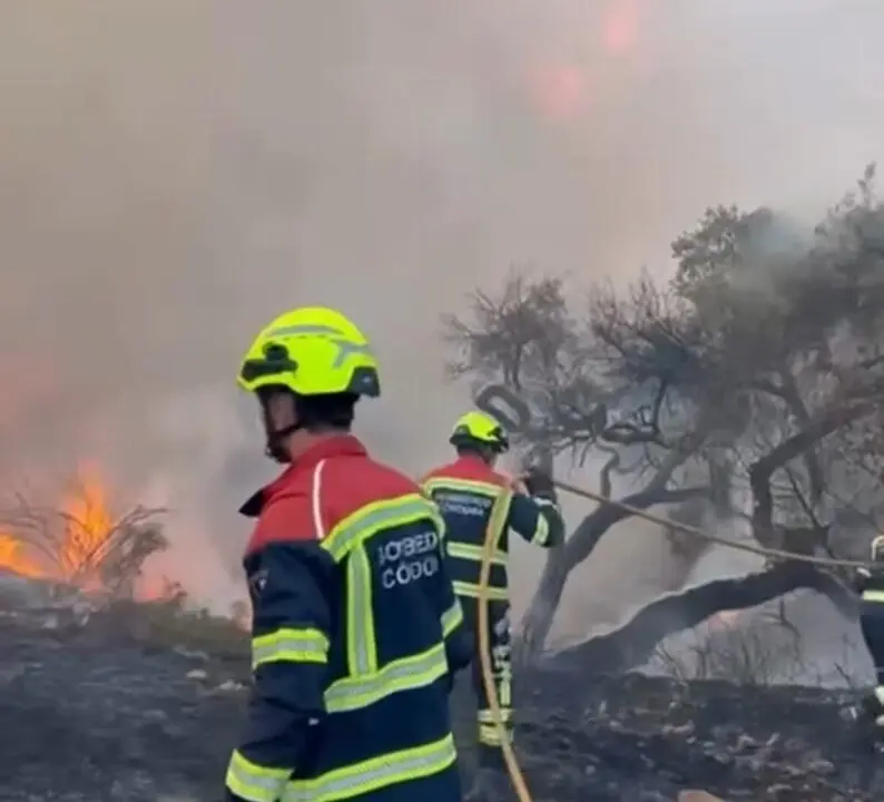  Bomberos tratan de pagar el incendio en La Albaida 
