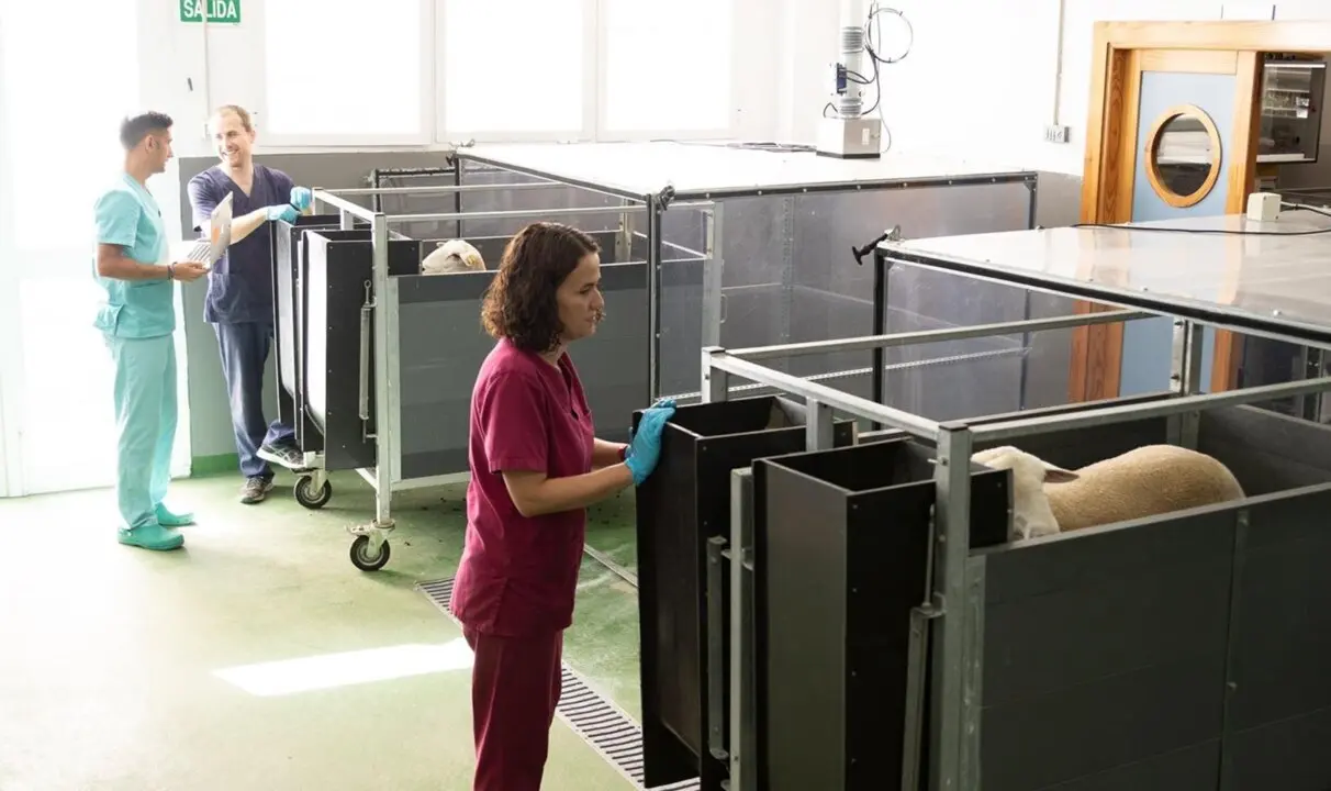  Trabajos con rumiantes para la reducci&oacute;n de emisiones de gases de efecto invernadero<br>- FUNDACI&Oacute;N DESCUBRE 