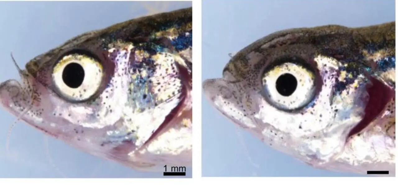  Estudio de la UCLM.<br>- UCLM 