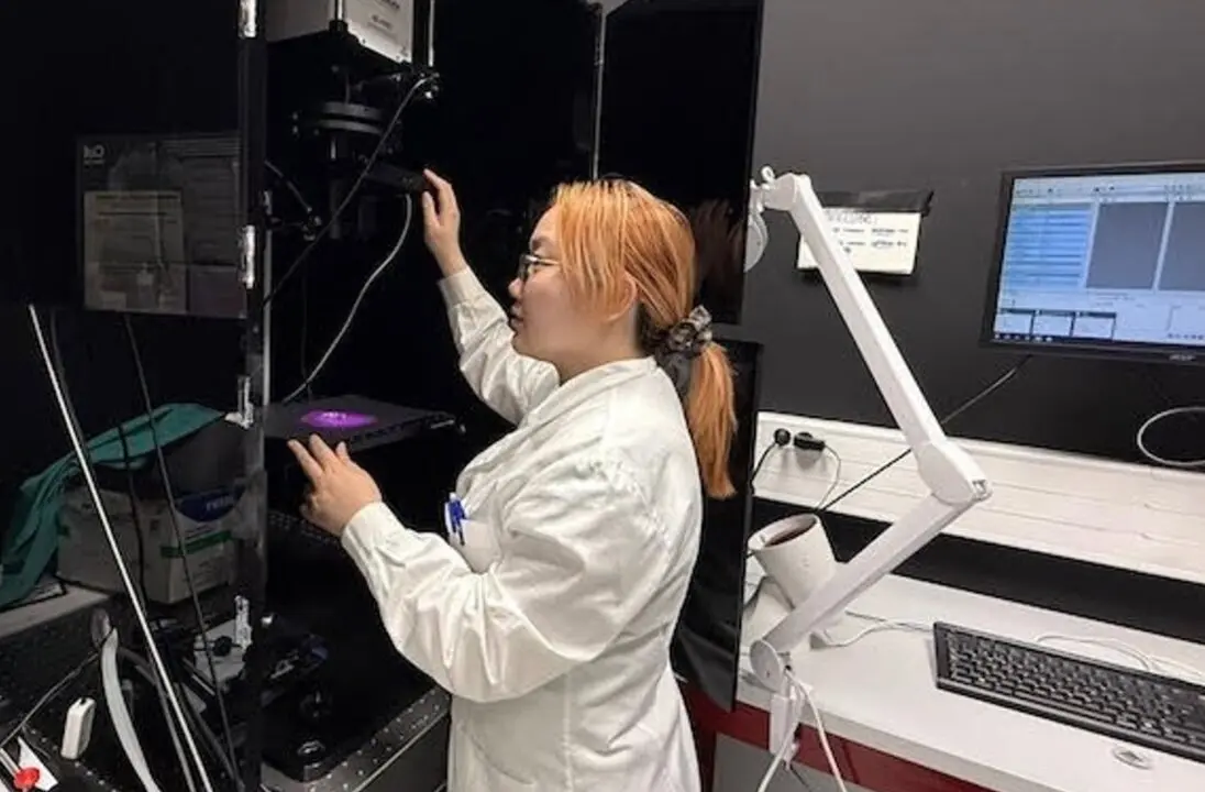  La estudiante Liyan Ming, primera autora del estudio, prepara una medici&oacute;n de fluorescencia<br>- UAM 