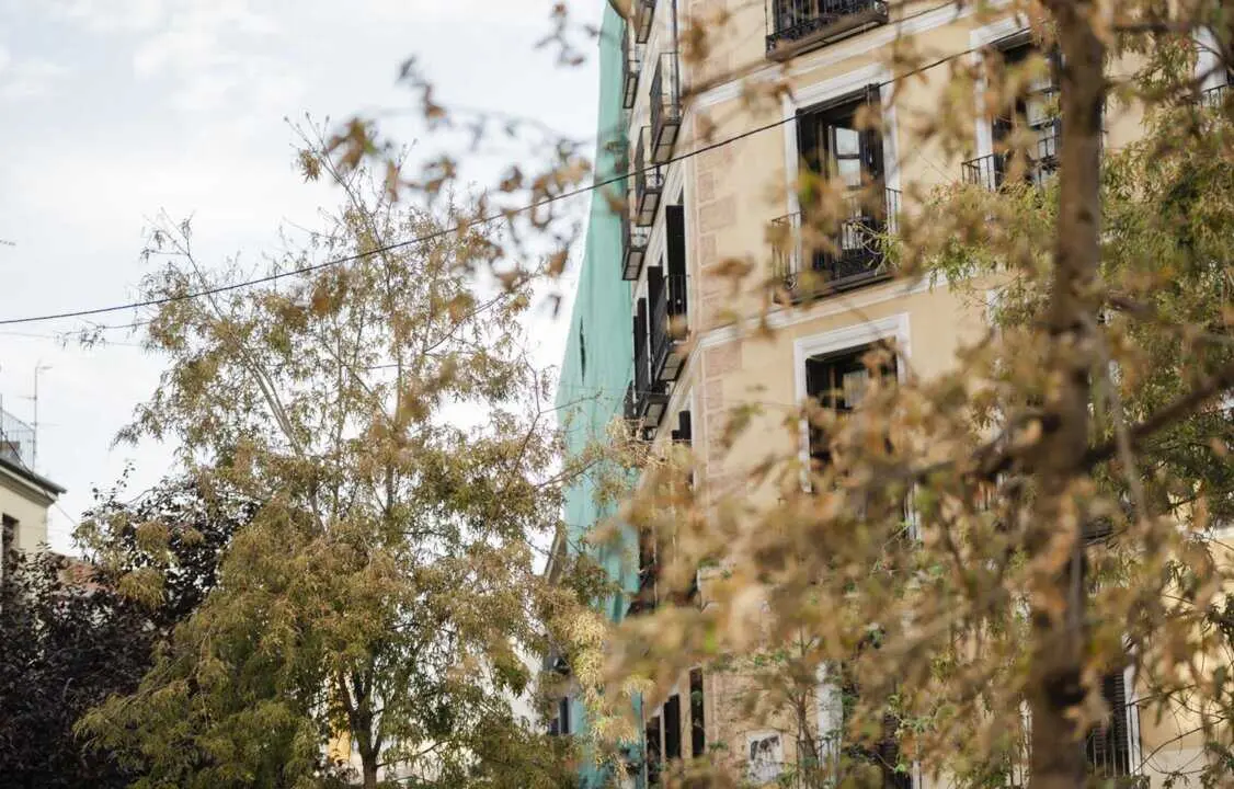  Estado del edificio derrumbado en la calle Hilares, a 8 de octubre de 2025, en Madrid (Espa&ntilde;a).<br>- Mateo Lanzuela - Europa Press 