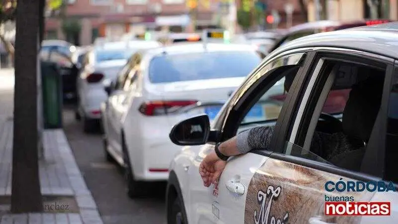  Taxis cordobeses. CBN 