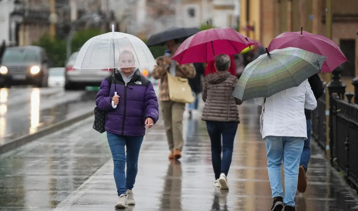 Sevillanos protegi&eacute;ndose de la lluvia y el viento, protagonistas de la jornada de hoy con avisos naranja y amarillo en gran parte de Andaluc&iacute;a. A 13 de noviembre de 2025, en Sevilla (Andaluc&iacute;a, Espa&ntilde;a). Andaluc&iacute;a vuelve a estar bajo la influencia de inten
- Mar&iacute;a Jos&eacute; L&oacute;pez - Europa Press