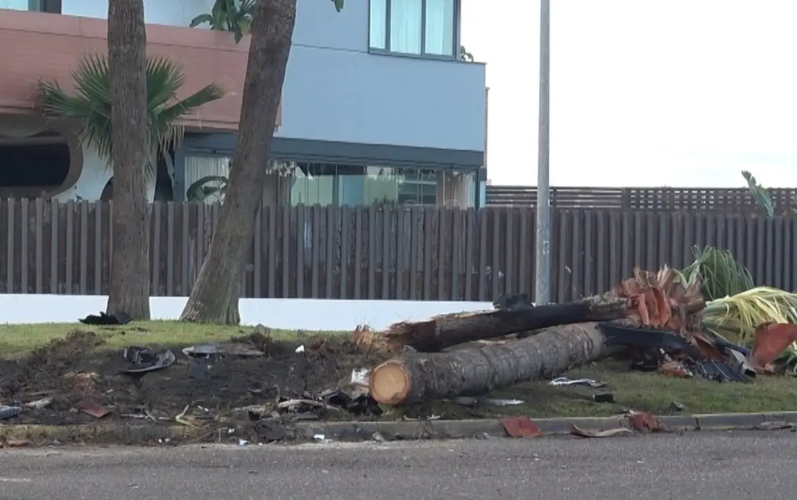 Palmera rota por el accidente.