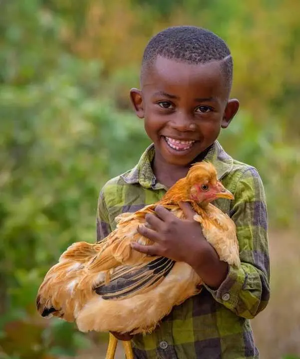 ONG proponen regalos solidarios para Navidad