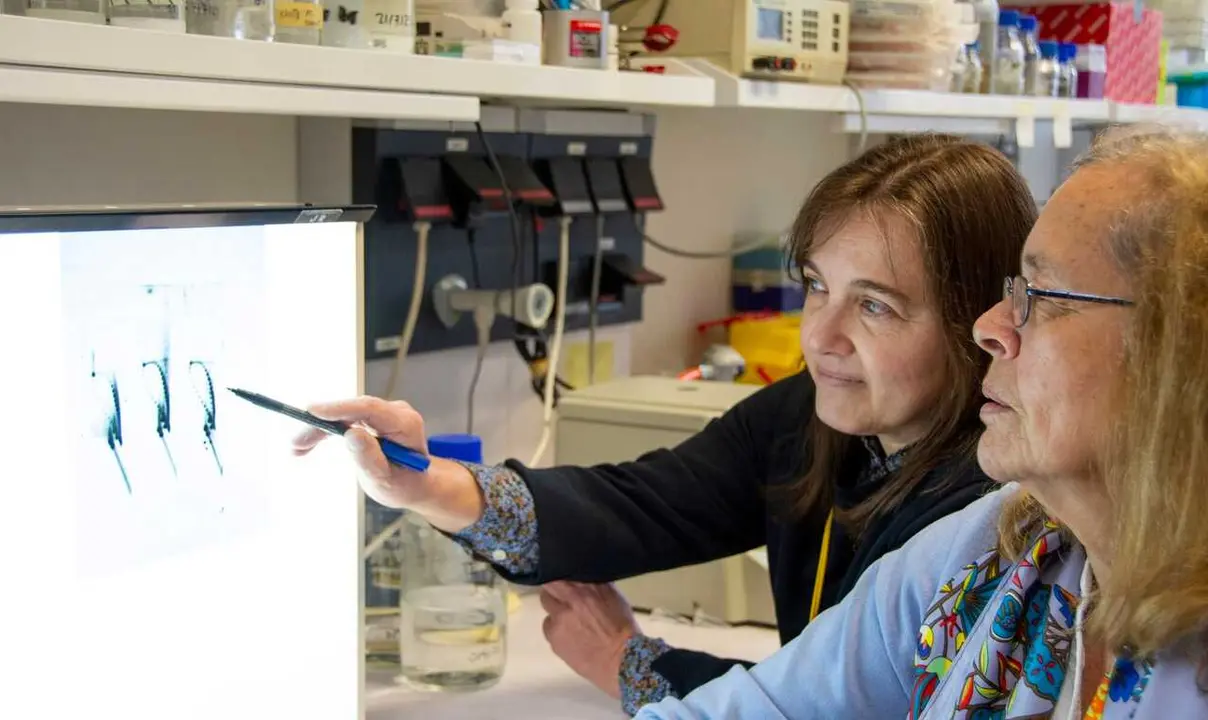 Imagen de las autoras de la investigaci&oacute;n.