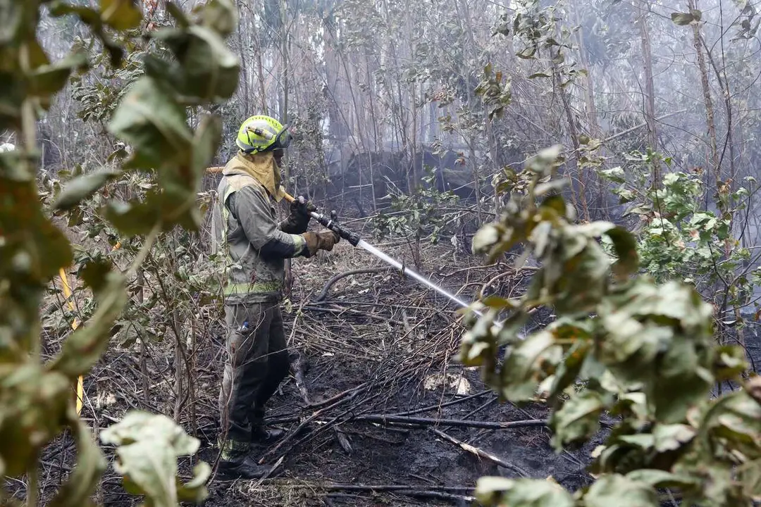 Riocobo, Cervo, Lugo. Un incendio declarado en la noche del martes junto a la urbanizaci&oacute;n Riocobo ha obligado al desalojo de m&aacute;s de 40 personas por la cercan&iacute;a de las llamas a las viviendas. El incendio se ha declarado en una zona de eucaliptal sin que se conozcan por el momento las causas del mismo.