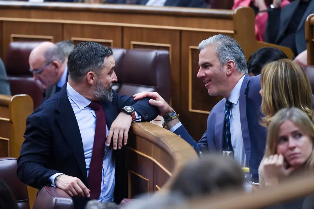 Archivo - El l&iacute;der de VOX, Santiago Abascal (i) y el portavoz del Grupo Municipal VOX, Javier Ortega Smith (d), conversan durante un pleno en el Congreso de los Diputados, a 29 de octubre de 2024, en Madrid (Espa&ntilde;a).