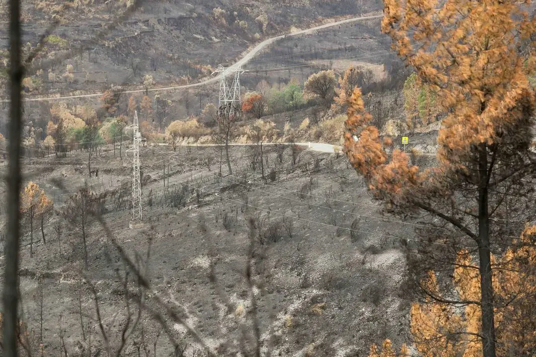 Quiroga, Lugo y A R&uacute;a, Ourense. Efectos del devastador incendio forestal que calcin&oacute; m&aacute;s de 30.000 has y que se convirti&oacute; en el mayor en cuanto a superficie quemada en la historia reciente de Galicia. En la imagen, paisaje ardido en Ferrer&iacute;a, Quiroga, en la ma&ntilde;ana del jueves 11 de septiembre