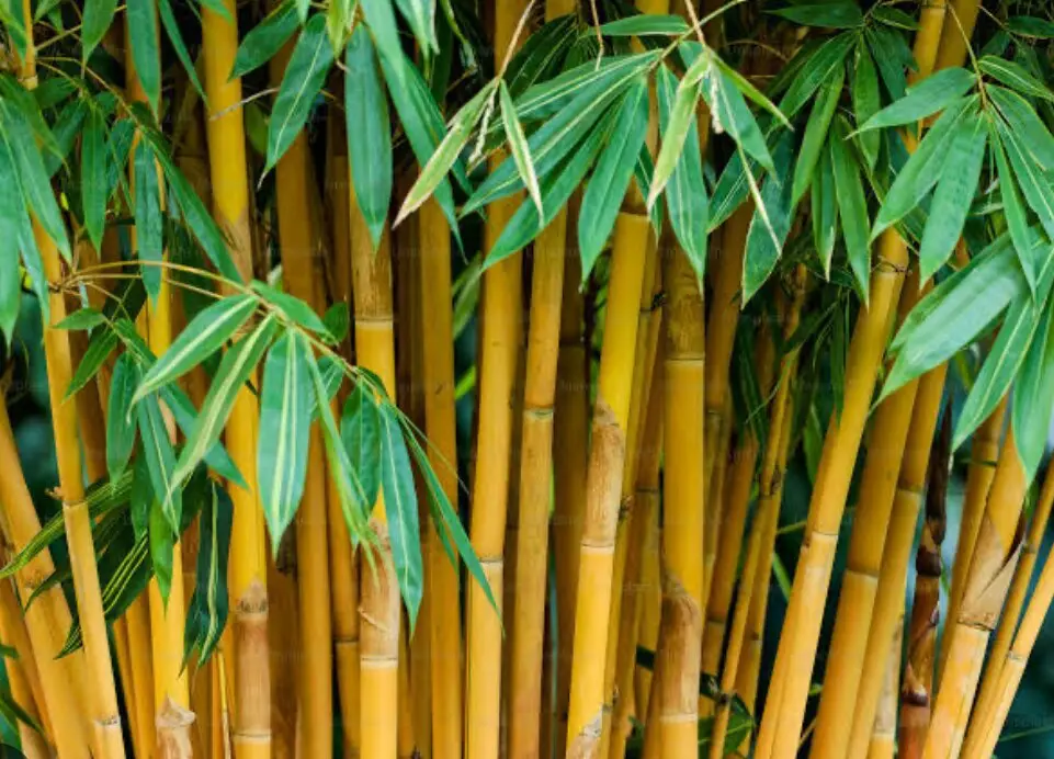 Alarma en Usera tras apu&ntilde;alamiento grave a una mujer de 50 a&ntilde;os