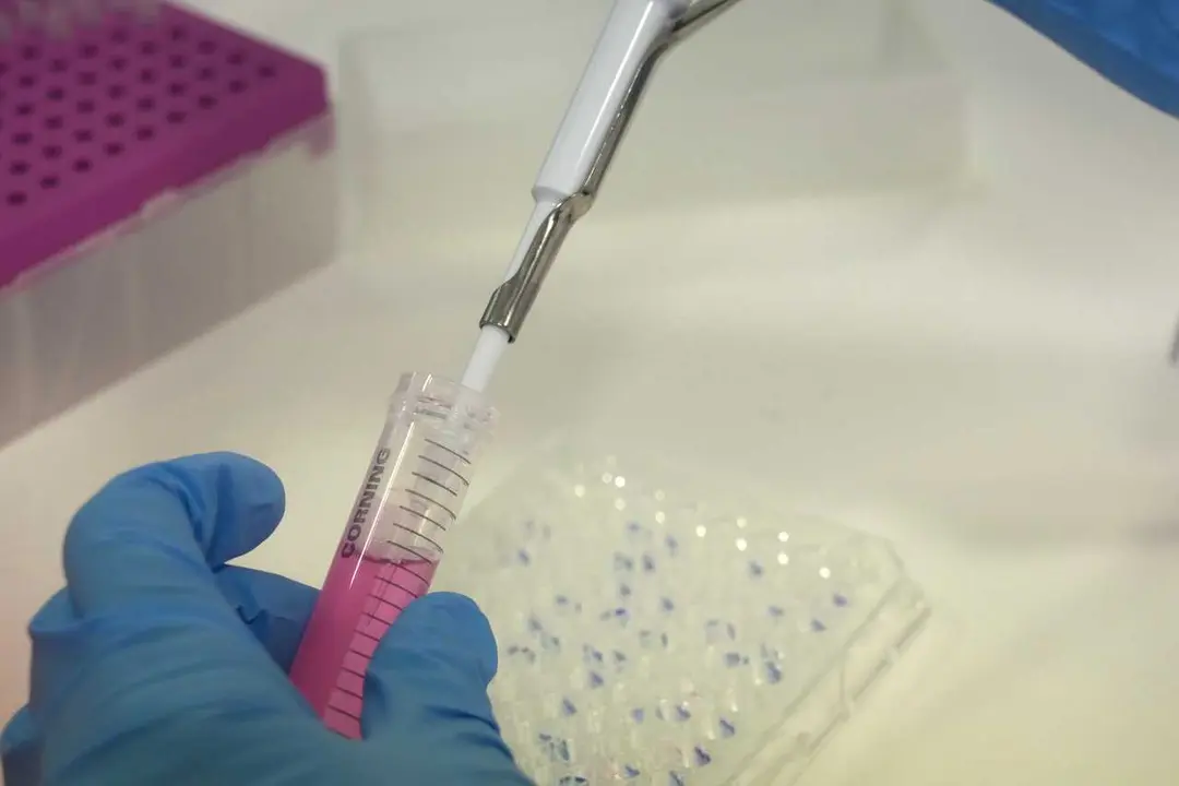 Archivo - Una cient&iacute;fica 