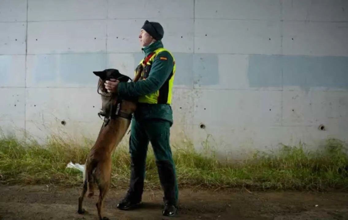  Un agente y un perro de la Unidad Cinol&oacute;gica de la Guardia Civil en Adamuz<br>- JOAQUIN CORCHERO - EUROPA PRESS 