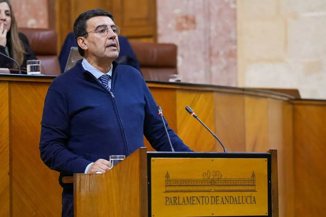 El diputado del PSOE-A Mario Jim&eacute;nez interviene en el Pleno del Parlamento andaluz.