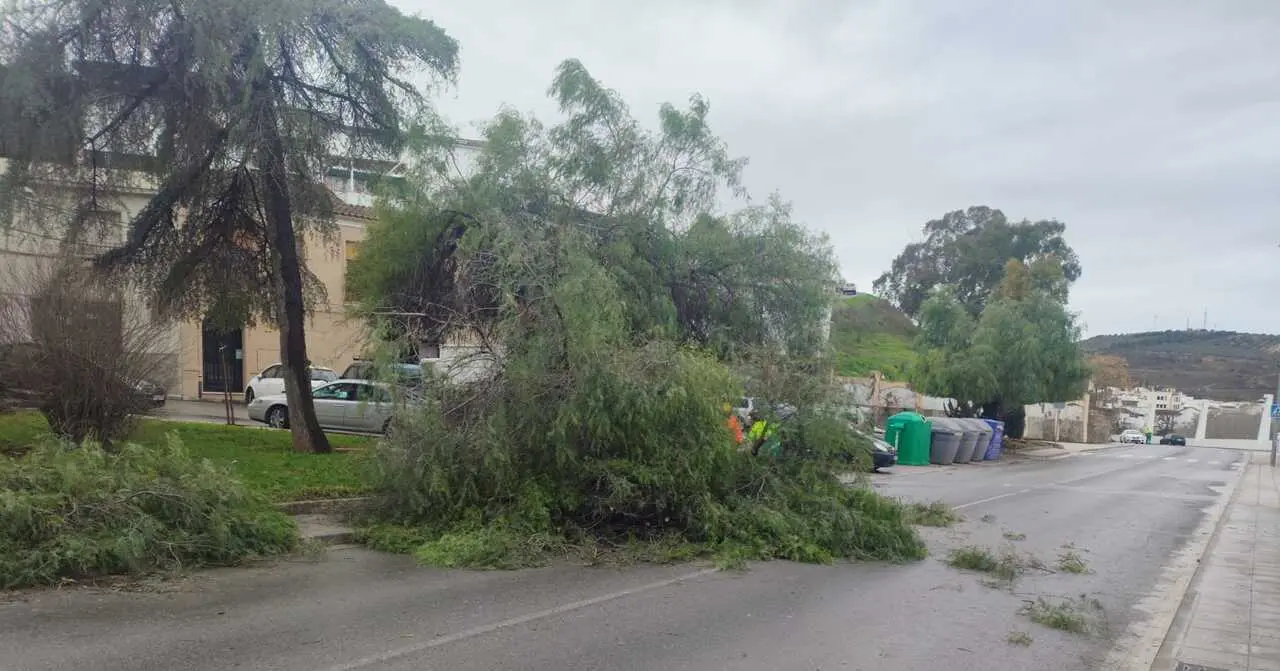 Efectos de las borrascas en Puente Genil.