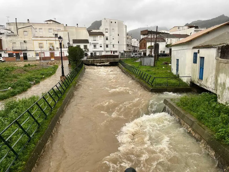 Imagen del r&iacute;o Ubrique, afluente del r&iacute;o Majaceite, a su paso por la localidad ubrique&ntilde;a.