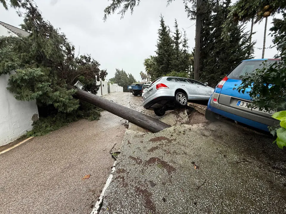 Imagen de un &aacute;rbol ca&iacute;do y coches afectados tras el paso de la borrasca Leonardo, en la localidad gaditana de Los Barrios (C&aacute;diz). A 4 de febrero de 2026, en Los Barrios, C&aacute;diz (Andaluc&iacute;a, Espa&ntilde;a). La Agencia Estatal de Meteorolog&iacute;a (Aemet) ha activado ha