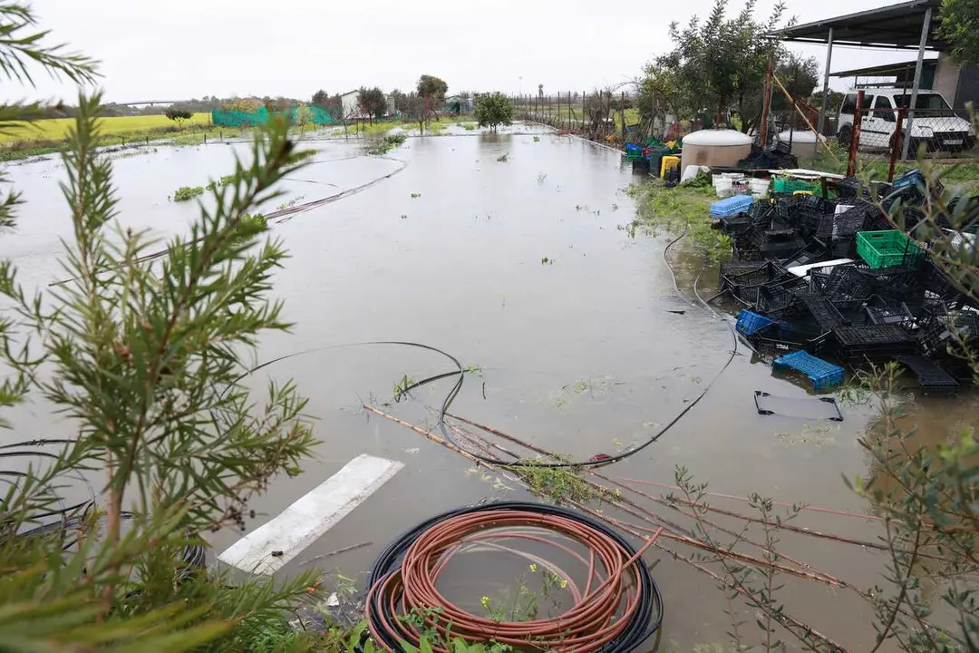 Explotaciones agr&iacute;colas inundadas tras el desbordamiento del r&iacute;o Guadalete a su paso por la localidad gaditana de Jerez de la Frontera. A 4 de febrero de 2026, en Jerez de la Frontera, C&aacute;diz (Andaluc&iacute;a, Espa&ntilde;a). La Agencia Estatal de Meteorolog&iacute;a (Aemet) 