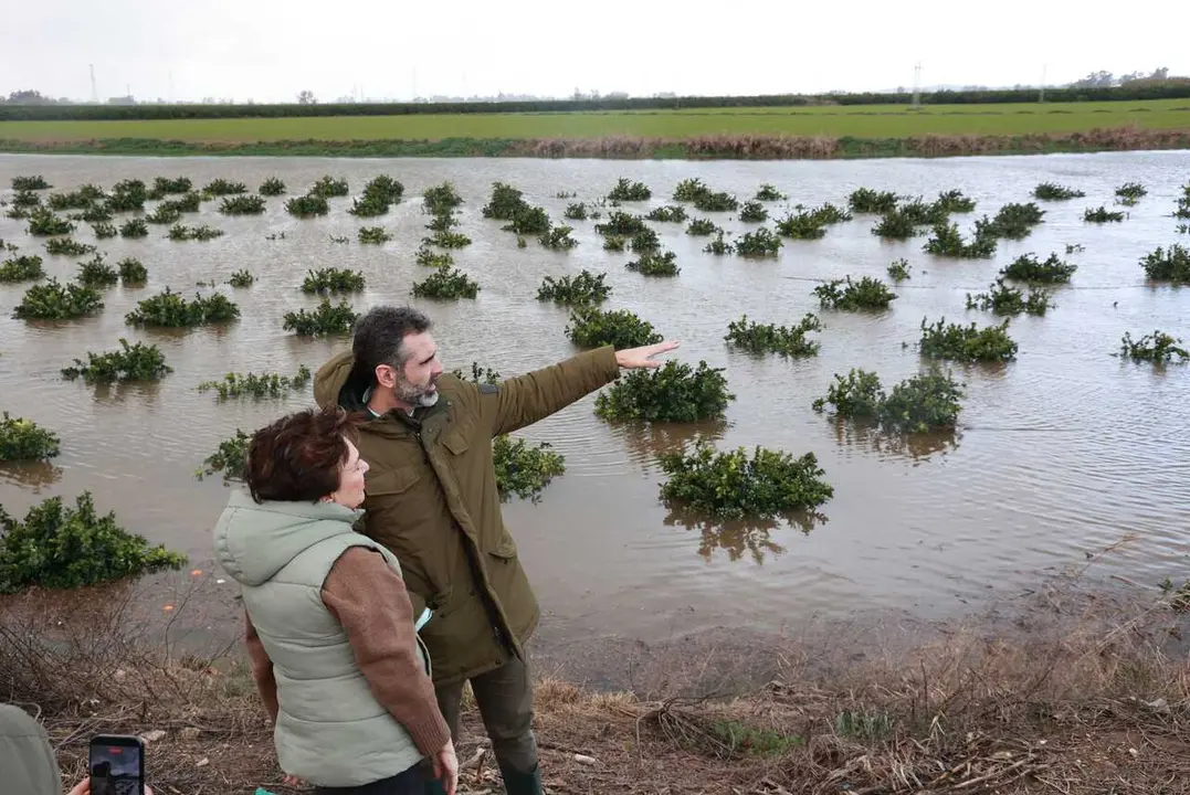 El consejero de Agricultura, Pesca, Agua y Desarrollo Rural, Ram&oacute;n Fern&aacute;ndez-Pacheco, durante su visita a Cantillana.