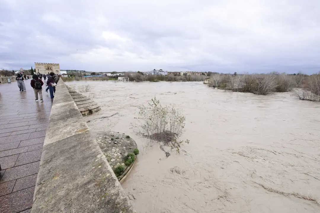 El r&iacute;o Guadalquivir supera, a su paso por C&oacute;rdoba capital, los cinco metros de crecida de su caudal desbordando sus m&aacute;rgenes. A 6 de febrero de 2026 en C&oacute;rdoba (Andaluc&iacute;a, Espa&ntilde;a).