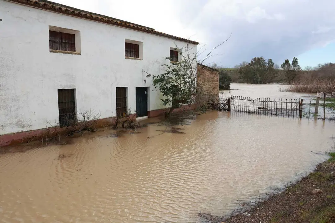 Crecida del r&iacute;o Guadalquivir a su paso por el pueblo sevillano de Lora del R&iacute;o. 