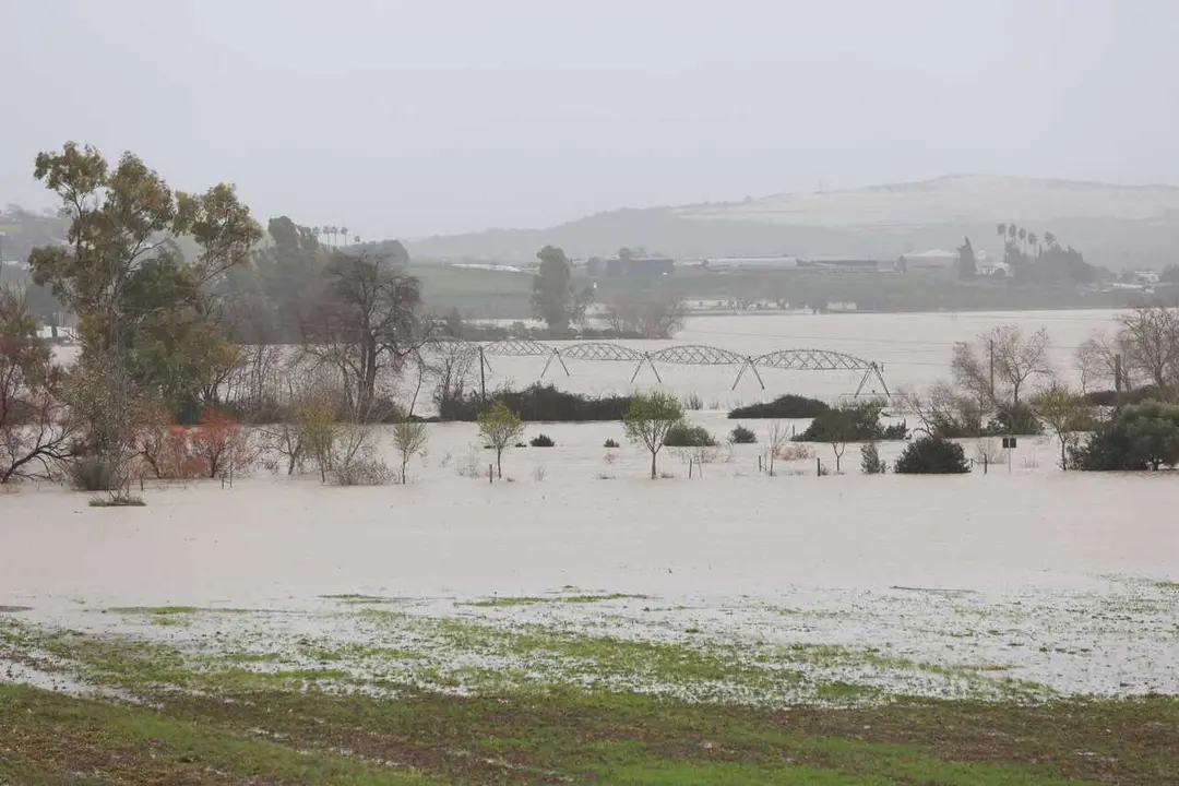 Imagen de la vega del Guadalete inundada tras el desbordamiento del r&iacute;o a su paso por la localidad gaditana de Jerez de la Frontera. A 4 de febrero de 2026, en Jerez de la Frontera, C&aacute;diz (Andaluc&iacute;a, Espa&ntilde;a).