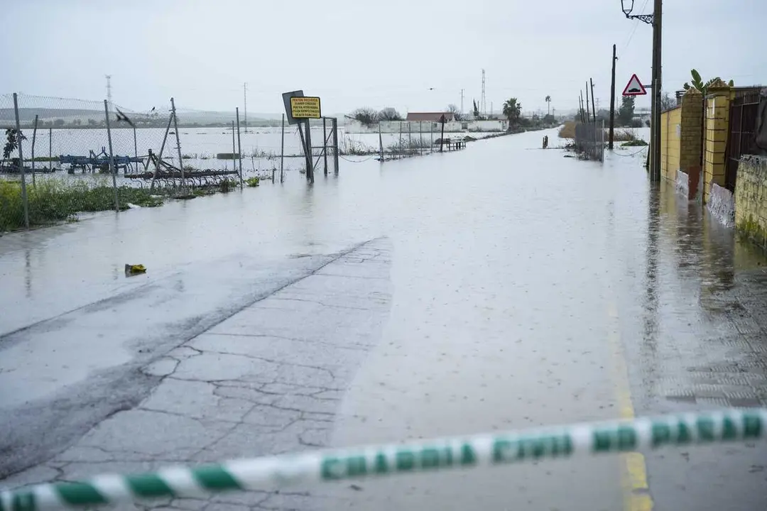 Imagen del desbordamiento del arroyo del Salado en El Palmar de Troya.