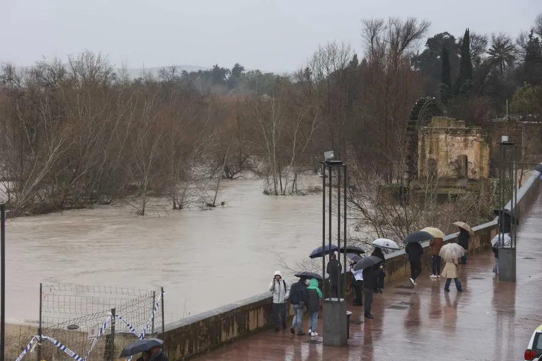 El paso del R&iacute;o Guadalquivir por C&oacute;rdoba.