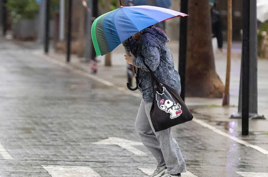  Una persona se resguarda con un paraguas de la lluvia y el viento. EFE/Alberto D&iacute;az 