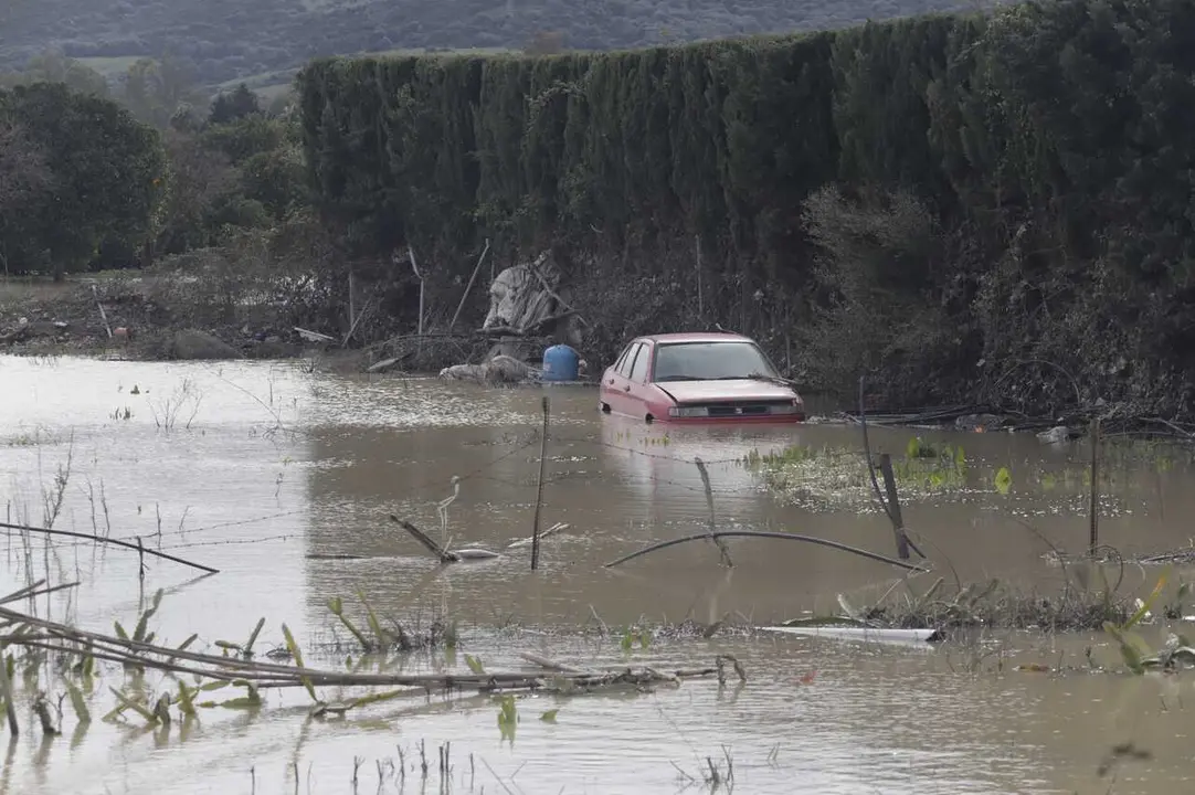 Regresan a sus casas vecinos de San Mart&iacute;n del Tesorillo desalojados por las lluvias. A 08 de febrero de 2026 en San Mart&iacute;n del Tesorillo, C&aacute;diz, Andaluc&iacute;a (Espa&ntilde;a). 