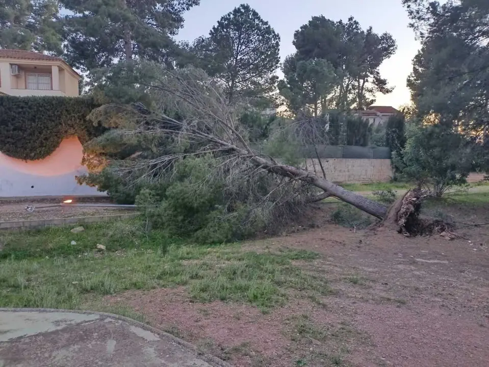 Imagen de archivo de da&ntilde;os por el temporal de viento.