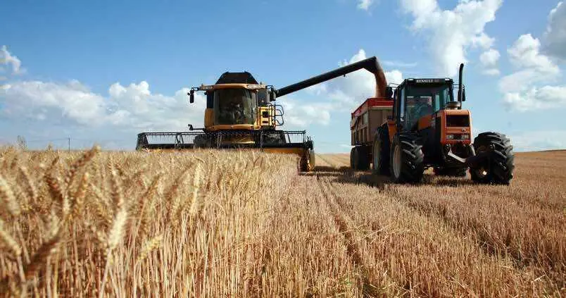  Recogida de cereales 