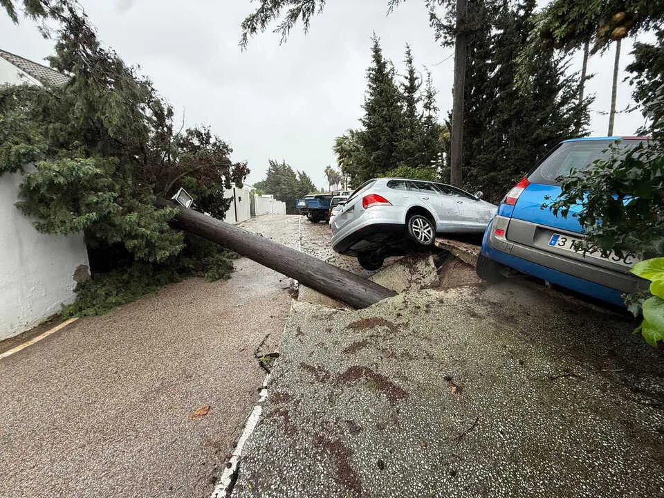  Imagen de un &aacute;rbol ca&iacute;do y coches afectados tras el paso de la borrasca Leonardo, en la localidad gaditana de Los Barrios (C&aacute;diz) 