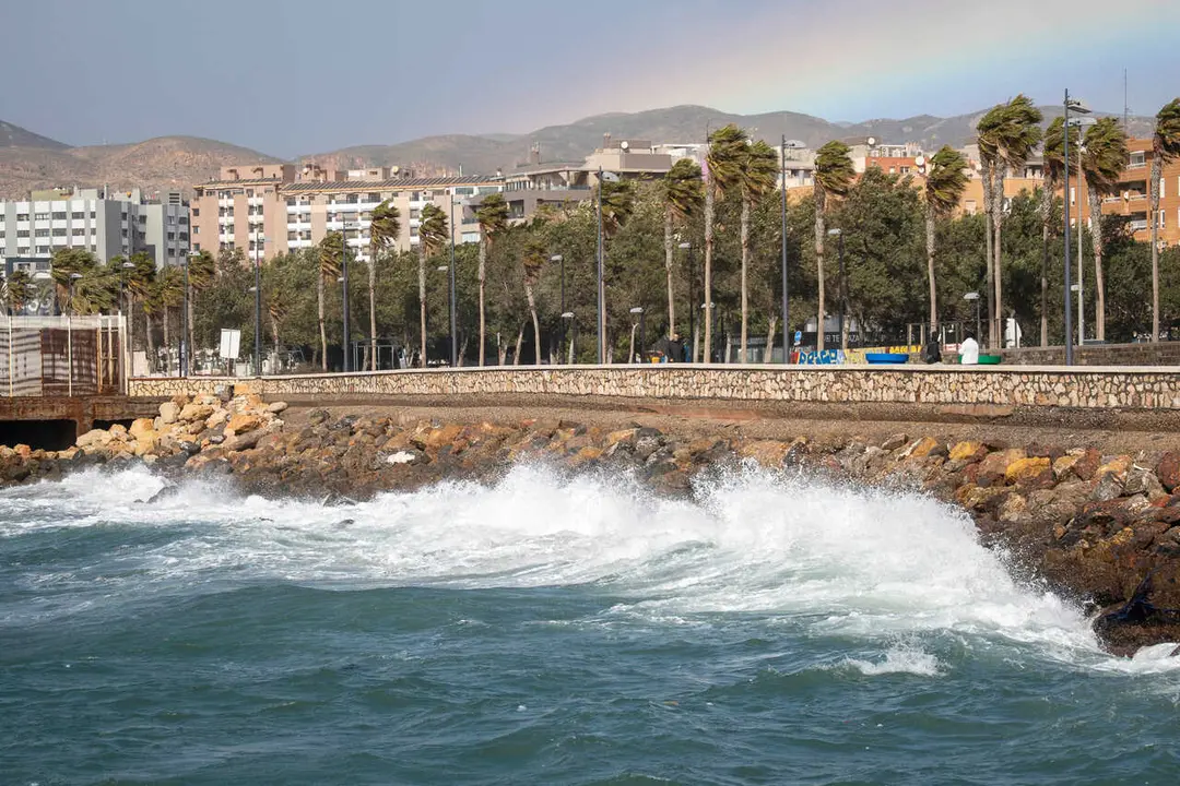 Im&aacute;genes del  fuerte viento provocado por la borrasca Leonardo..A 05 de febrero del 2026 en Almer&iacute;a. Espa&ntilde;a.