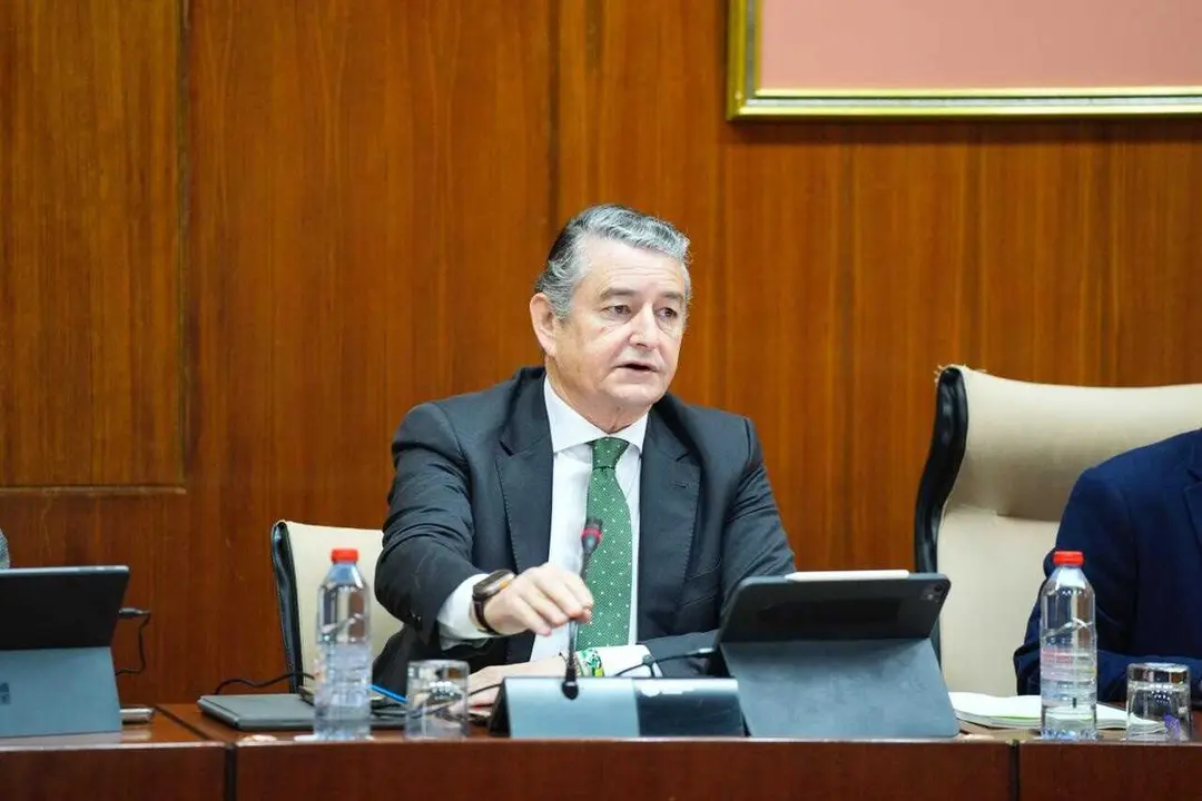 El consejero de Sanidad, Presidencia y Emergencias de la Junta de Andaluc&iacute;a, Antonio Sanz, en la comisi&oacute;n parlamentaria del 19 de febrero de 2026.