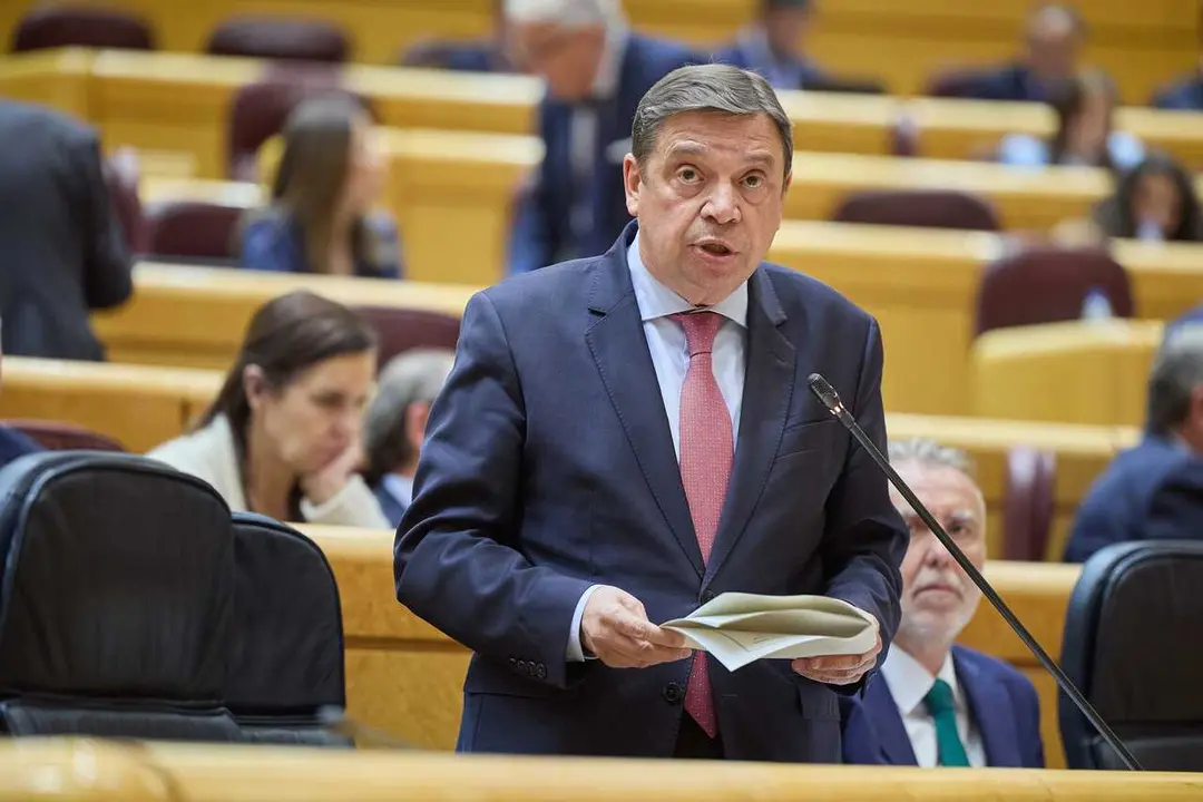 Archivo - El ministro de Agricultura, Pesca y Alimentaci&oacute;n, Luis Planas, durante una sesi&oacute;n de Control en el Senado, a 7 de mayo de 2024, en Madrid (Espa&ntilde;a). 